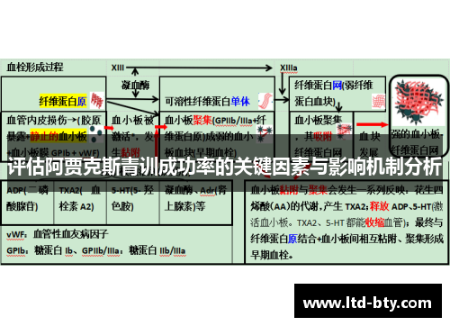 评估阿贾克斯青训成功率的关键因素与影响机制分析