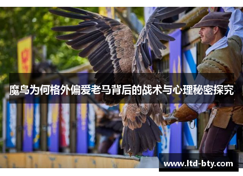魔鸟为何格外偏爱老马背后的战术与心理秘密探究