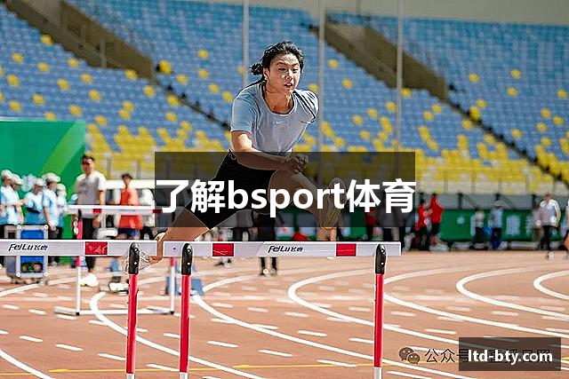 了解bsport体育